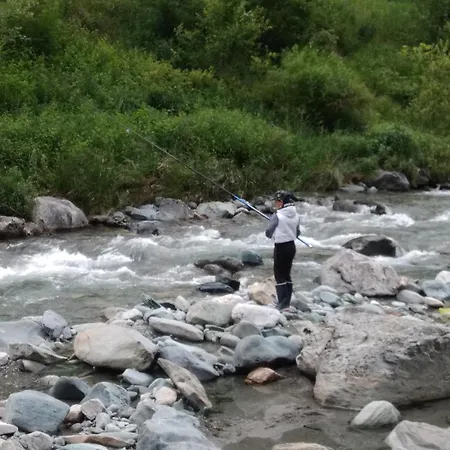 Pigna D'oro Chiesa in Valmalenco