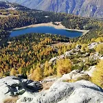 Pigna D'oro Hotel 3*