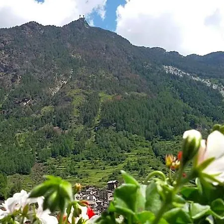 Pigna D'oro 酒店 奇萨瓦玛兰科