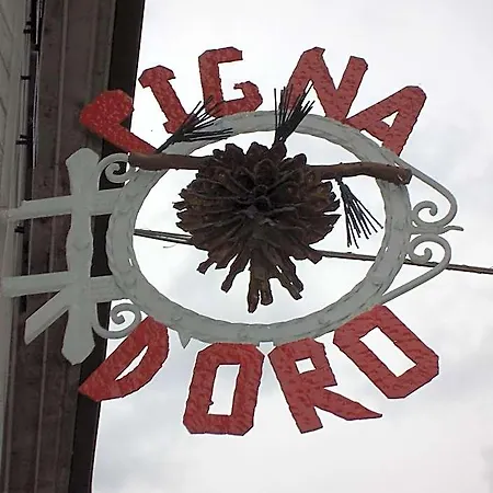 酒店 Pigna D'oro 奇萨瓦玛兰科