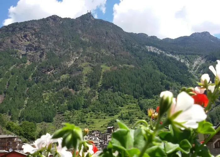 Pigna D'oro Отель 3*