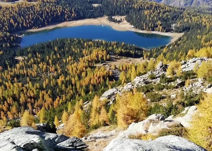 Pigna D'oro Отель 3*