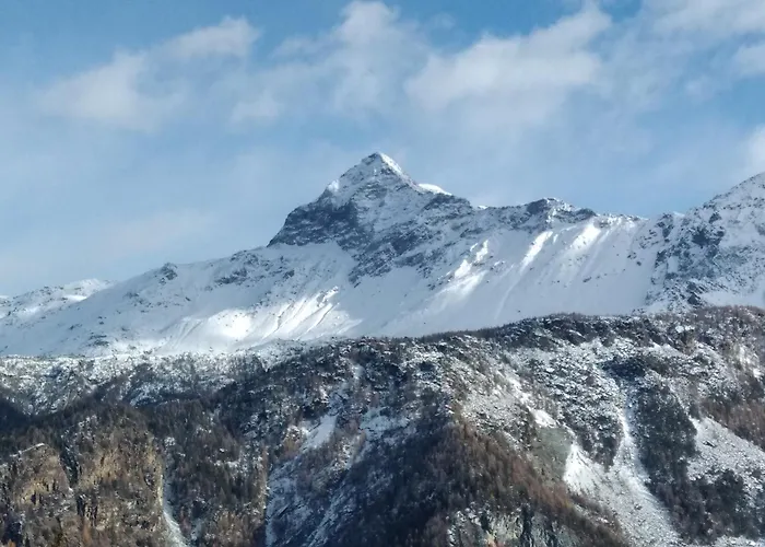 Отель Pigna D'oro